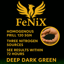 Load image into Gallery viewer, FeNiX