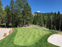 Load image into Gallery viewer, Premier Greens Mower